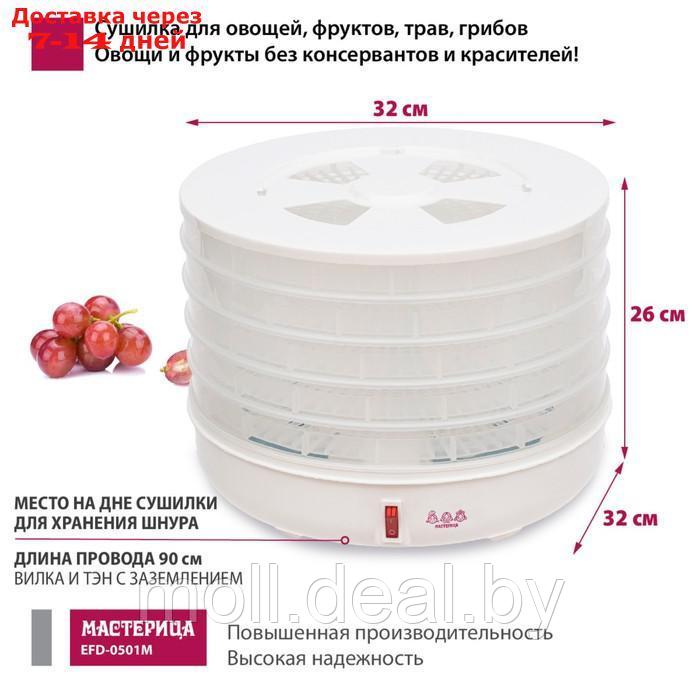 Сушилка для овощей и фруктов " Мастерица EFD-0501M", 125 Вт, белая - фото 4 - id-p207940763