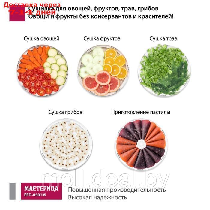Сушилка для овощей и фруктов " Мастерица EFD-0501M", 125 Вт, белая - фото 5 - id-p207940763