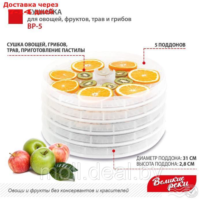 Сушилка для овощей и фруктов " ВР-5", 125 Вт, 5 ярусов, с прозрачными поддонами - фото 4 - id-p207940764
