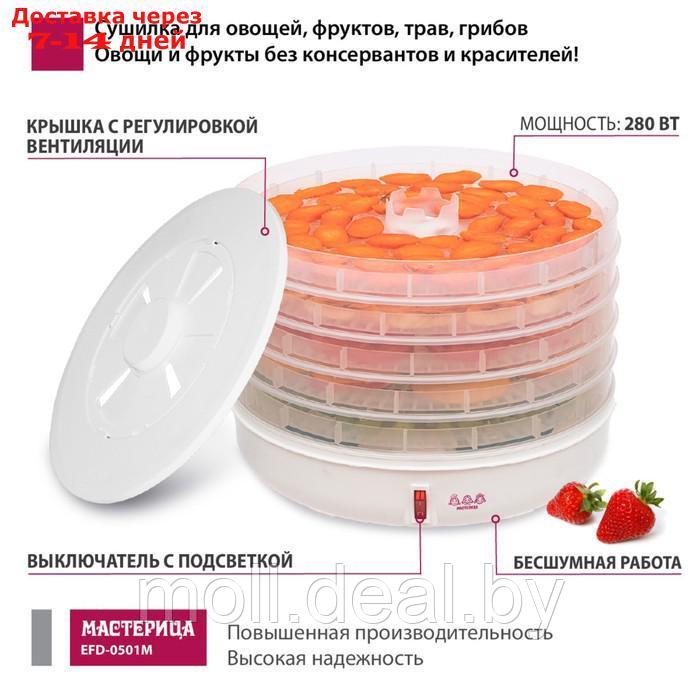 Сушилка для овощей и фруктов "Мастерица EFD-0501M ", 125 Вт, 5 ярусов, с прозрачными поддонами 96 - фото 2 - id-p207940765