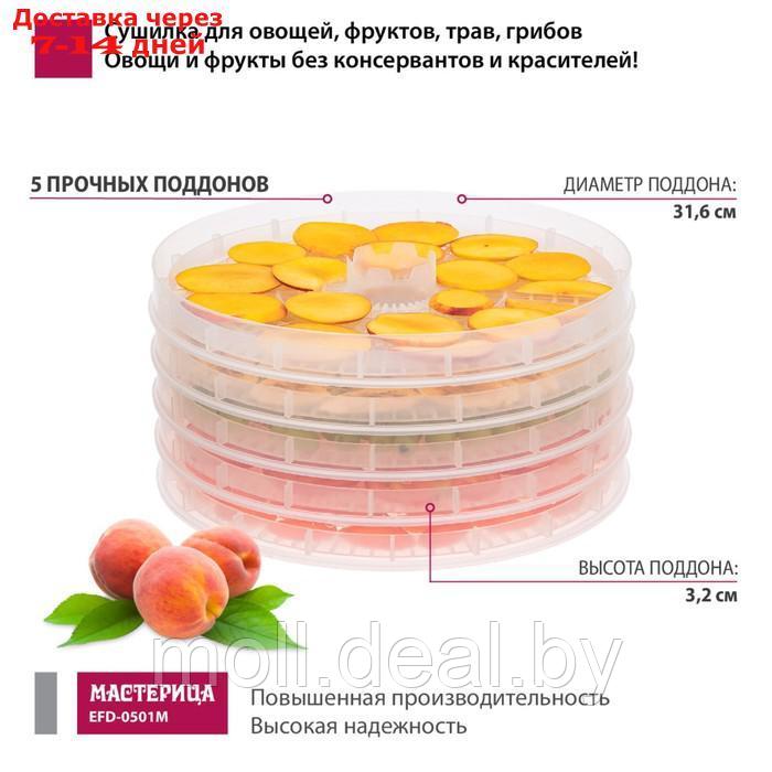 Сушилка для овощей и фруктов "Мастерица EFD-0501M ", 125 Вт, 5 ярусов, с прозрачными поддонами 96 - фото 3 - id-p207940765