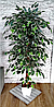 Дерево искусственное декоративное Фикус Бенджамина 120 см, фото 4
