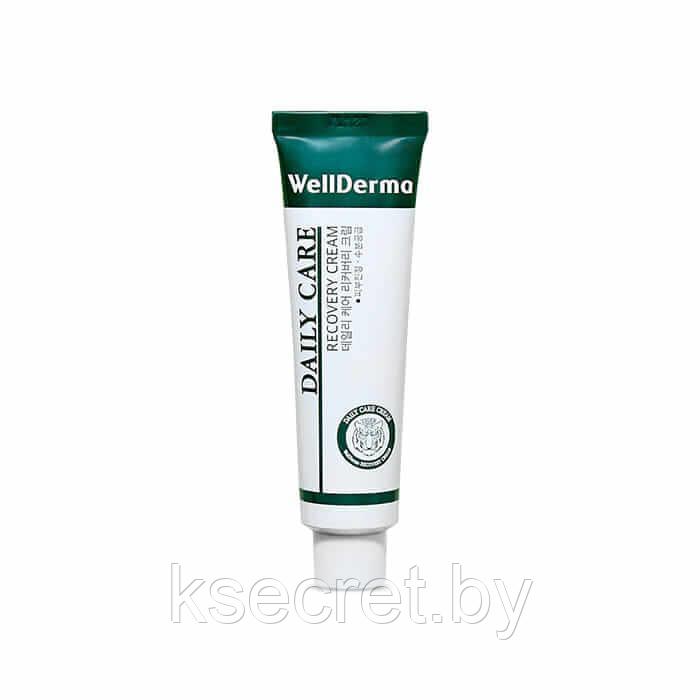 Восстанавливающий крем для проблемной кожи WellDerma Daily Care Recovery Cream - фото 1 - id-p207979996