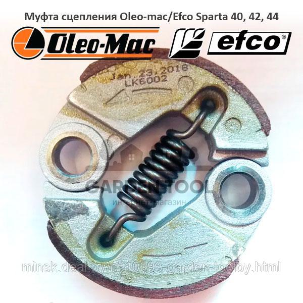 Муфта сцепления триммера Oleo-mac/Efco Sparta 42/44 - фото 1 - id-p144517096