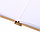 Скетчбук-блокнот на резинке Brauberg Art Classic «Это Кот» 145*203 мм, 64 л., 160 г/м2, фото 2