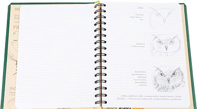 SketchBook. Визуальный экспресс-курс по рисованию. Животные (изумруд), фото 3