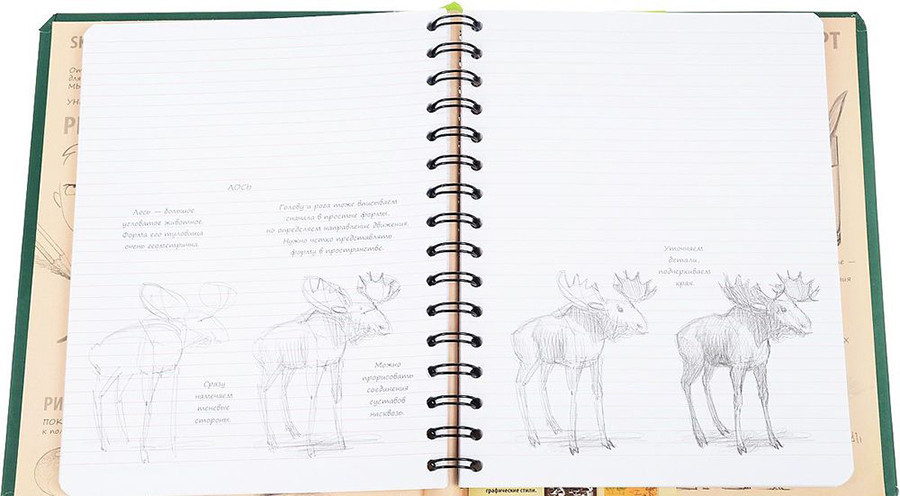 SketchBook. Визуальный экспресс-курс по рисованию. Животные (изумруд) - фото 4 - id-p207985336