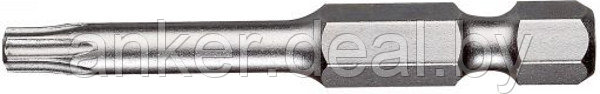 T 30х50 мм Бита WP магнитная Ritter PS20193050 - фото 1 - id-p208010195