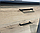 Кухня Лаванда 1.7 метра дуб золотой/столешница "Черный матовый" (две столешницы), фото 4
