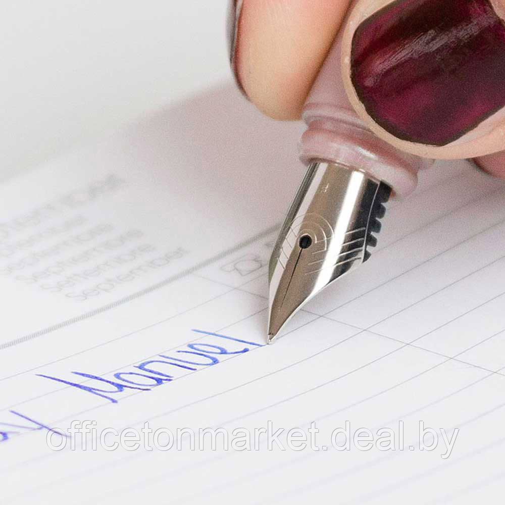 Ручка перьевая "Schneider Ceod Shiny", M, пудровый розовый, патрон синий - фото 5 - id-p208049968