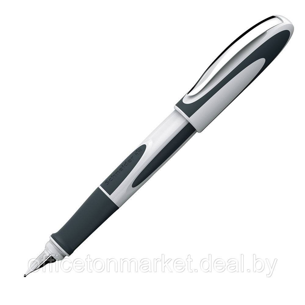 Ручка перьевая "Schneider Ray", M, белый, серый, патрон синий - фото 1 - id-p208049972