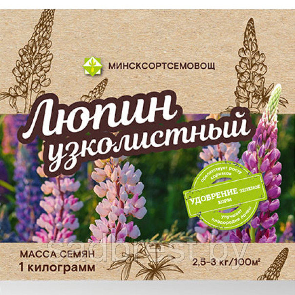 Семена Люпин сидерат медонос  (упаковка 1 кг) МССО