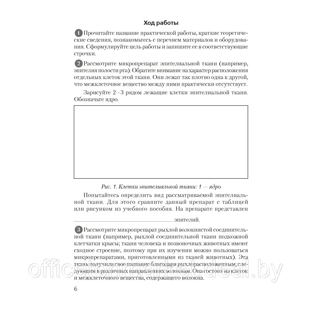 Биология. 9 класс. Тетрадь для лабораторных и практических работ, демонстрационных опытов, Лисов Н.Д., Аверсэв - фото 5 - id-p208087142