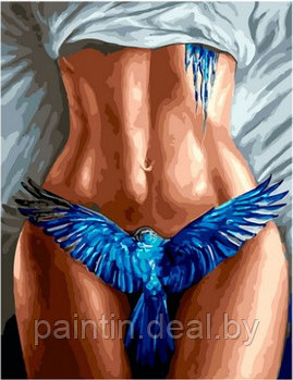 Рисование по номерам "Тело девушки и синяя птица" картина