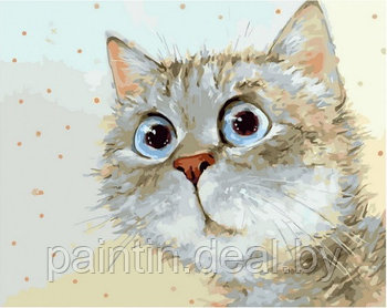 Рисование по номерам "Удивленный котик" картина