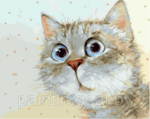 Рисование по номерам "Удивленный котик" картина - фото 1 - id-p208093220