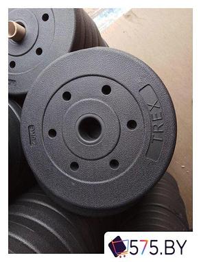 Диск TREX Sport 10 кг, фото 2
