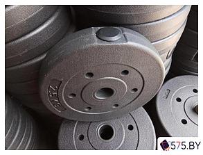 Диск TREX Sport 10 кг, фото 2