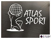 Батут Atlas Sport 252 см - 8ft Basic (с лестницей, внешняя сетка, сливовый), фото 3