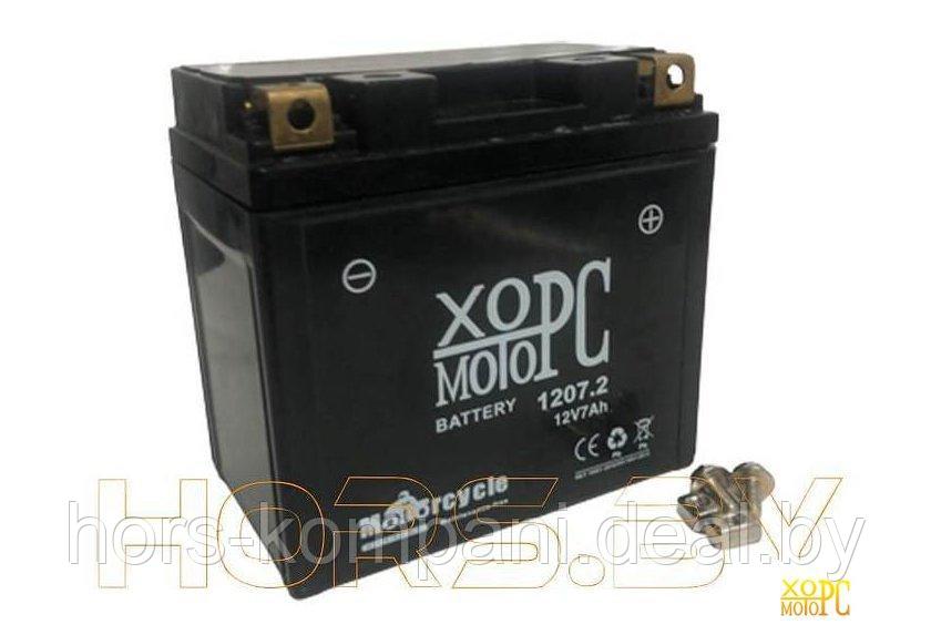 Аккумуляторная батарея Хорс-Моторс Аккумуляторная батарея 1207.2 ММ1 ALP 026-00 - фото 1 - id-p208140179