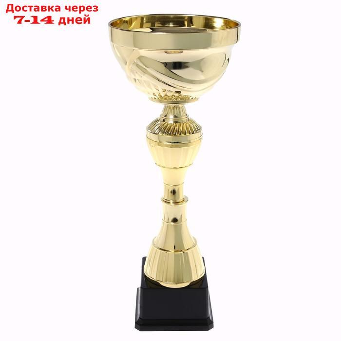 Кубок спортивный 134C. Цвет зол, 27,5 × 10 × 8,5 см