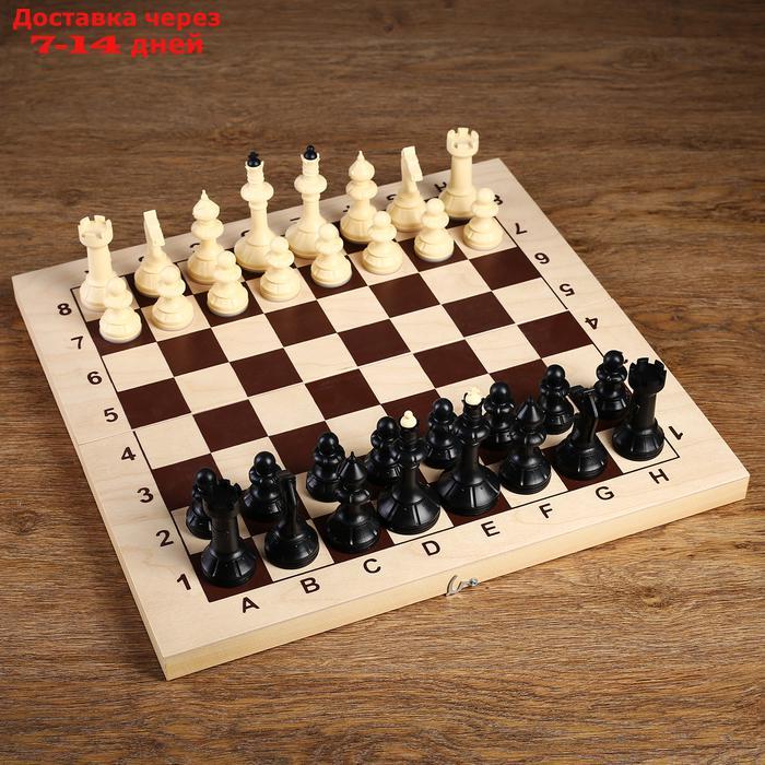 Шахматные фигуры "Айвенго" обиходные (без доски, высота король h=10,5 см) - фото 1 - id-p208102128