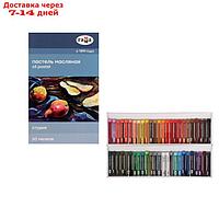 Пастель масляная, набор 50 цветов, Гамма "Студия", d-8мм, l-65мм, в картонной коробке