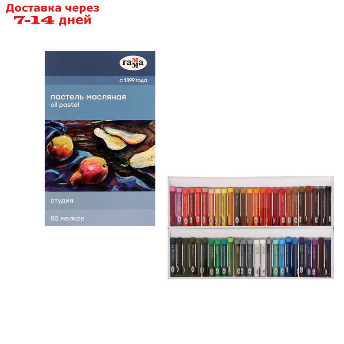Пастель масляная, набор 50 цветов, Гамма "Студия", d-8мм, l-65мм, в картонной коробке - фото 1 - id-p208102556