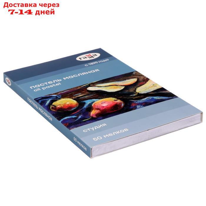 Пастель масляная, набор 50 цветов, Гамма "Студия", d-8мм, l-65мм, в картонной коробке - фото 3 - id-p208102556