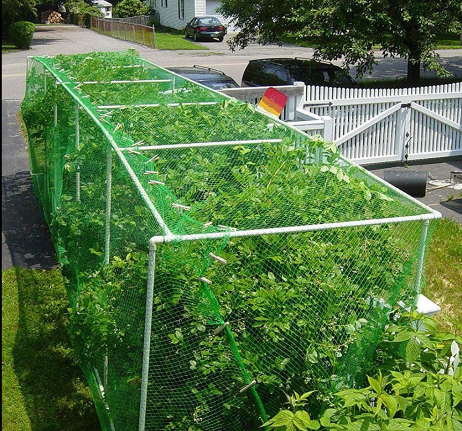 Сетка садовая для защиты урожая от птиц - фото 8 - id-p119846309