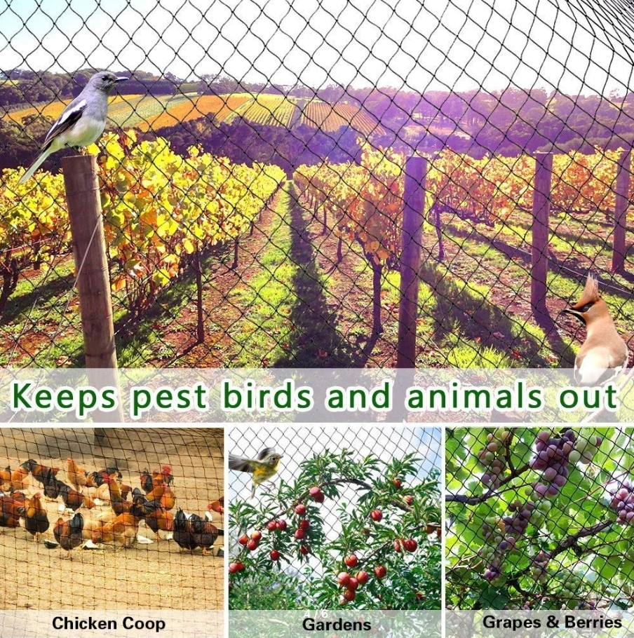 Сетка для защиты урожая от птиц 8*8 метра - фото 9 - id-p149669878
