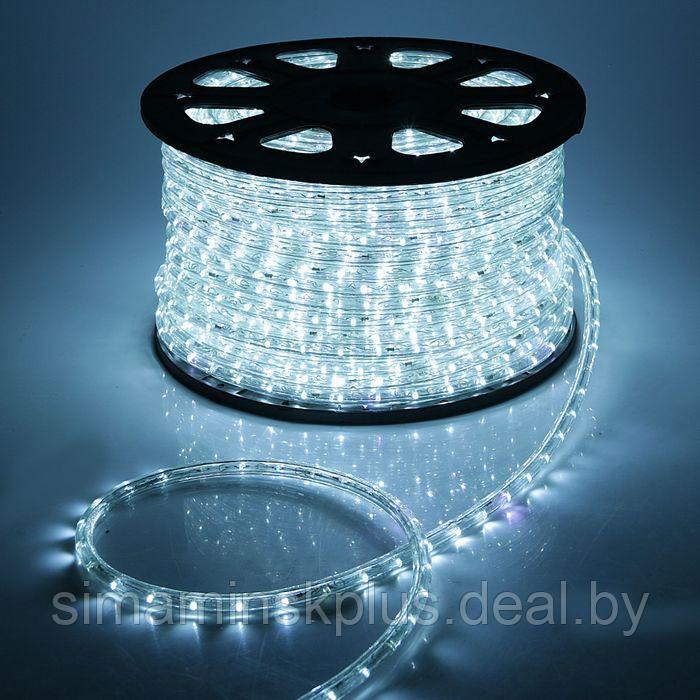 Световой шнур Luazon Lighting 13 мм, IP65, 100 м, 36 LED/м, 220 В, 2W, мерцание, свечение белое - фото 1 - id-p208225334