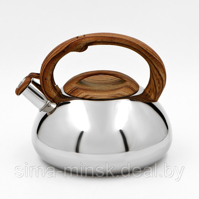 Чайник из нержавеющей стали со свистком Доляна «Квант», 2,8 л, фиксированная ручка soft-touch, цвет - фото 1 - id-p208227996