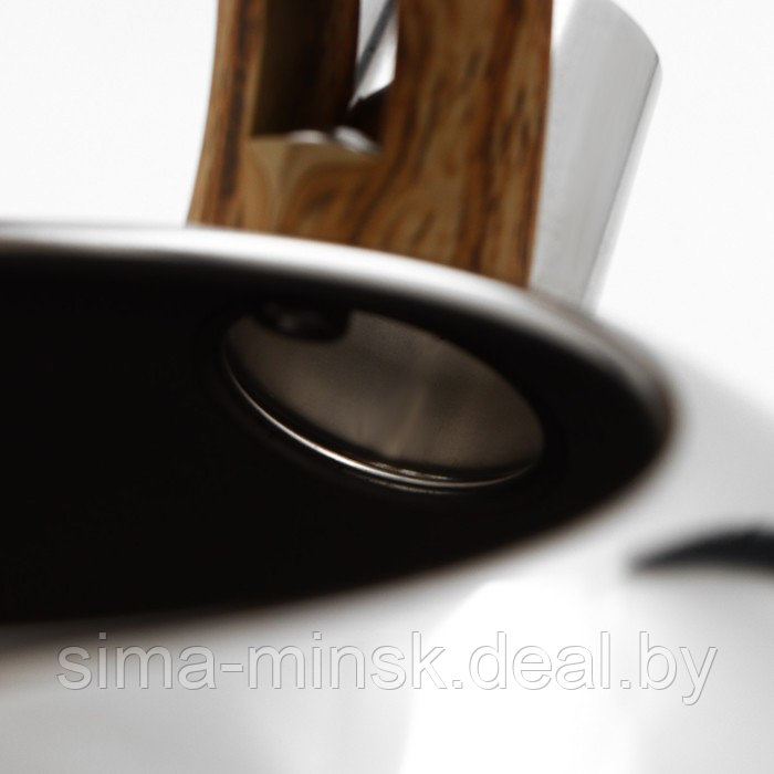 Чайник из нержавеющей стали со свистком Доляна «Квант», 2,8 л, фиксированная ручка soft-touch, цвет - фото 3 - id-p208227996