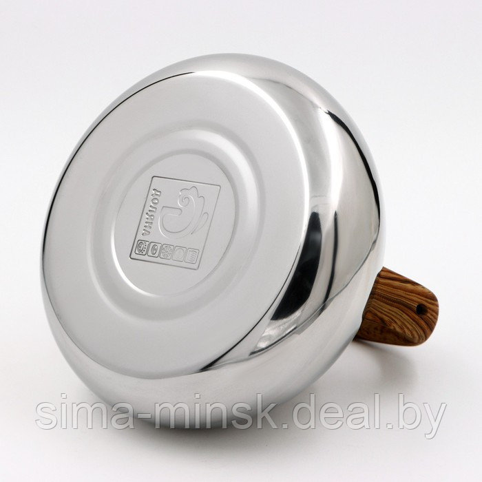 Чайник из нержавеющей стали со свистком Доляна «Квант», 2,8 л, фиксированная ручка soft-touch, цвет - фото 4 - id-p208227996