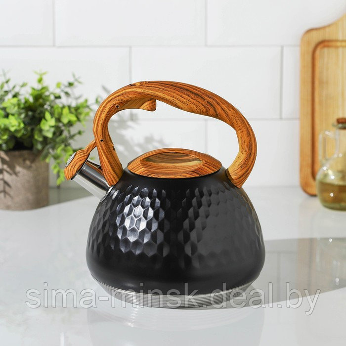 Чайник со свистком из нержавеющей стали Magistro Heat, 3 л, ТРС, индукция, ручка soft-touch, цвет чёрный - фото 2 - id-p208228002