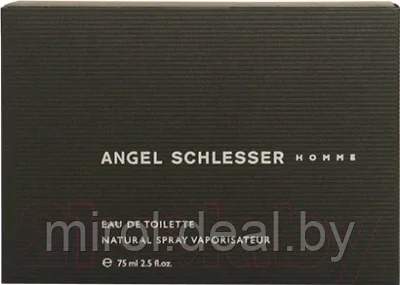 Туалетная вода Angel Schlesser Homme - фото 2 - id-p208238476