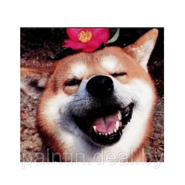 Алмазная мозаика "Счастливый пес" на подрамнике - фото 1 - id-p208250866