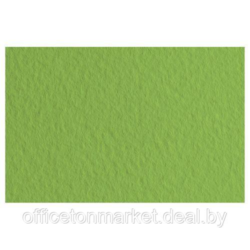 Бумага для пастели "Tiziano", 50x65 см, 160 г/м2, оливковый - фото 1 - id-p208252333