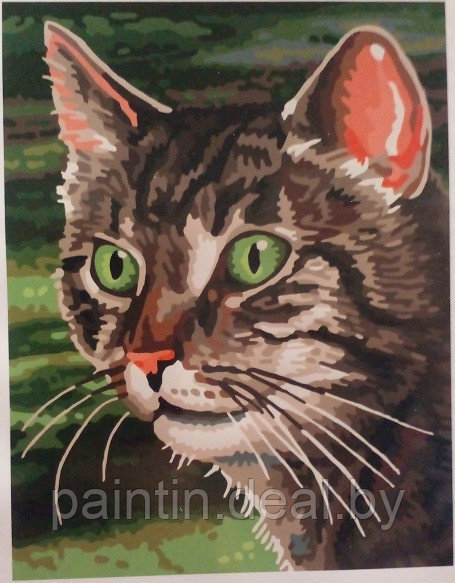 Рисование по номерам "Кошка" картина - фото 1 - id-p208258908