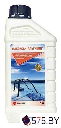 Химия для бассейна Родемос Максисан-Альгицид 1л, фото 2