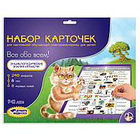 Игра настольная "Электровикторина. Набор доп. карточек все обо всем"