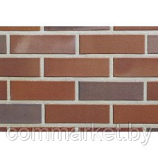 Кирпич клинкерный ABC-klinkergruppe, SUDDENDORF Rot-bunt-geflammt glatt NF 0054