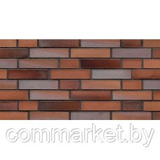 Клинкерный кирпич ABC-klinkergruppe, Oldenburg rot-bunt glatt NF 0109
