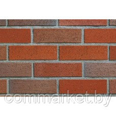 Клинкерный кирпич ABC-klinkergruppe, Suddendorf rot-bunt-geflammt geschalt NF 0057