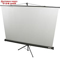 Экран Lumien 160x160 Eco View LEV-100105 1:1, напольный, рулонный