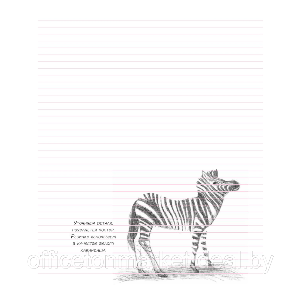 Скетчбук с уроками внутри "Рисуем животных (мята)" - фото 8 - id-p208299260