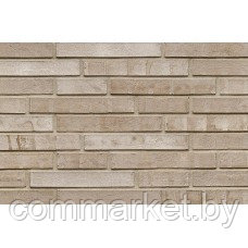 Клинкерный кирпич ABC-klinkergruppe, Langformat aquaterra Salinagrau LF 0858