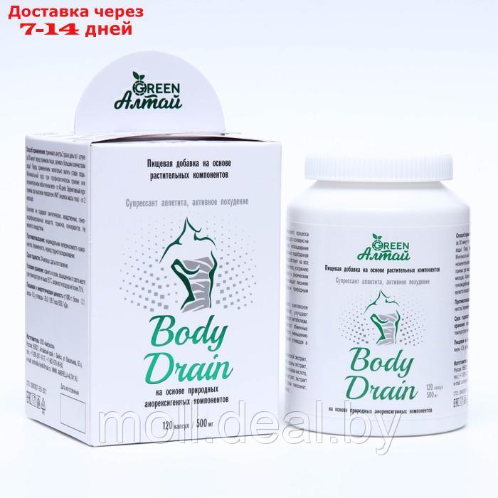 Body Drain "Супрессант аппетита", 120 капсул по 0.5 г - фото 1 - id-p208274160