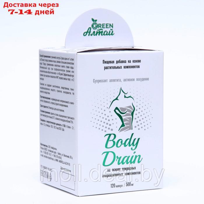 Body Drain "Супрессант аппетита", 120 капсул по 0.5 г - фото 2 - id-p208274160